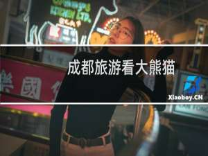 成都旅游看大熊猫