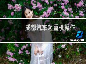 成都汽车起重机操作