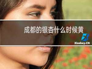 成都的银杏什么时候黄