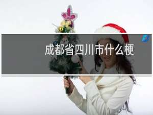 成都省四川市什么梗