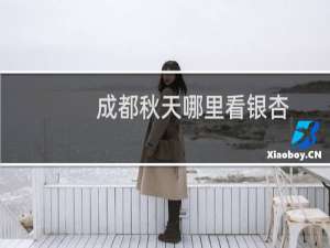 成都秋天哪里看银杏
