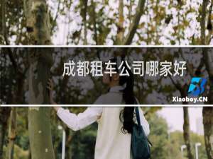 成都租车公司哪家好