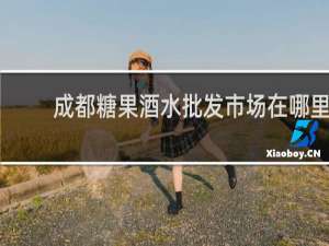 成都糖果酒水批发市场在哪里