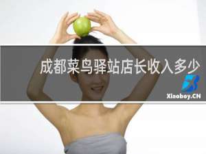 成都菜鸟驿站店长收入多少