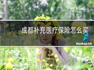 成都补充医疗保险怎么买