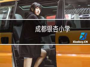 成都银杏小学