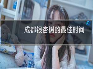 成都银杏树的最佳时间