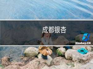 成都银杏