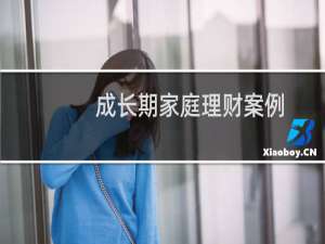 成长期家庭理财案例