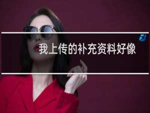 我上传的补充资料好像有问题