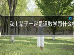 我上辈子一定是道数学题什么梗