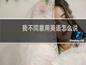 我不同意用英语怎么说
