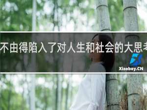 我不由得陷入了对人生和社会的大思考什么梗