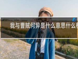 我与曹贼何异是什么意思什么梗