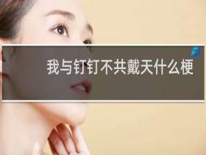我与钉钉不共戴天什么梗