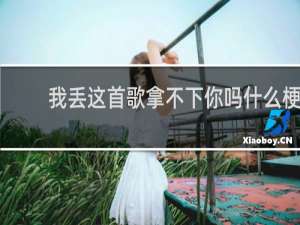 我丢这首歌拿不下你吗什么梗，我丢这首歌拿不下你吗是什么意思？什么梗