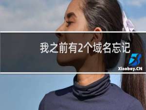 我之前有2个域名忘记续费