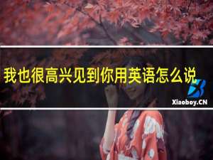 我也很高兴见到你用英语怎么说