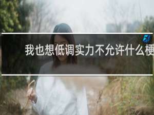 我也想低调实力不允许什么梗