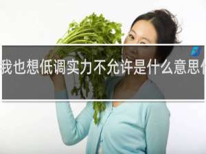 我也想低调实力不允许是什么意思什么梗