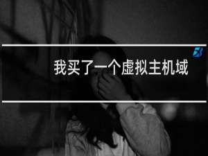 我买了一个虚拟主机域名，使用赠送的域名怎么解析不过来