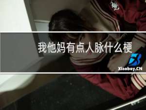 我他妈有点人脉什么梗