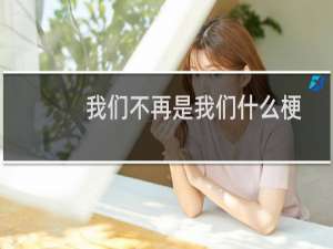 我们不再是我们什么梗
