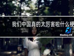 我们中国真的太厉害啦什么梗