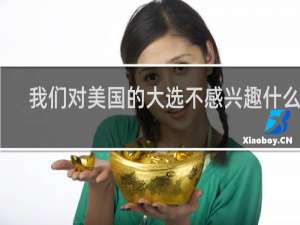 我们对美国的大选不感兴趣什么梗