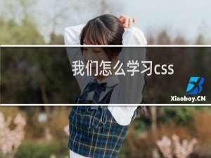 我们怎么学习css