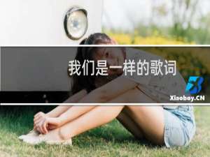 我们是一样的歌词