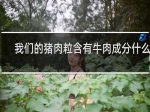 我们的猪肉粒含有牛肉成分什么梗
