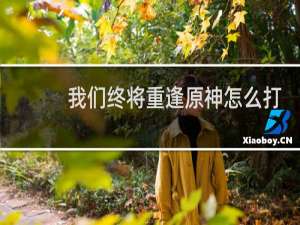 我们终将重逢原神怎么打