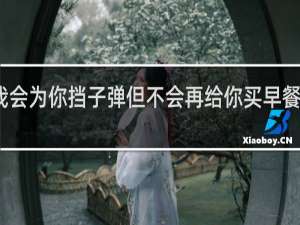 我会为你挡子弹但不会再给你买早餐什么梗