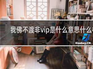 我佛不渡非vip是什么意思什么梗