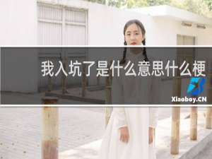 我入坑了是什么意思什么梗