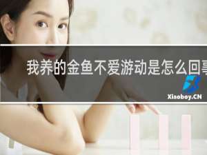 我养的金鱼不爱游动是怎么回事
