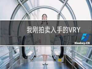 我刚拍卖入手的VRYX.WIN说需要我先从临时户转入我自己的