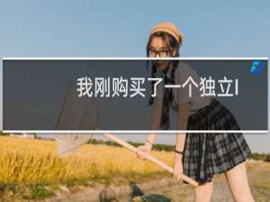 我刚购买了一个独立IP但是无法使用