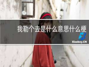 我勒个去是什么意思什么梗