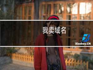 我卖域名，提交了，怎么看不到记录，正在出售的域名是空的。