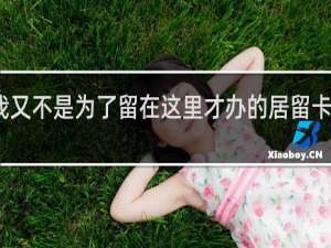 我又不是为了留在这里才办的居留卡什么梗