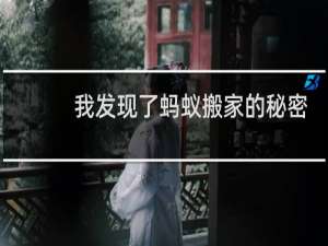 我发现了蚂蚁搬家的秘密