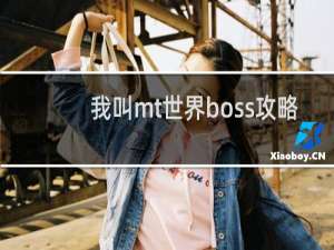 我叫mt世界boss攻略