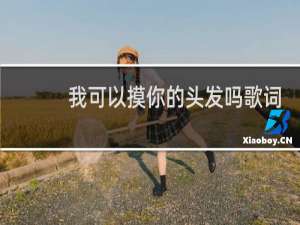 我可以摸你的头发吗歌词