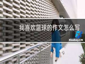 我喜欢篮球的作文怎么写