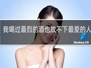 我喝过最烈的酒也放不下最爱的人歌词