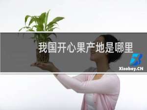 我国开心果产地是哪里