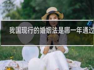 我国现行的婚姻法是哪一年通过的