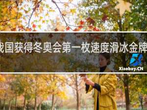 我国获得冬奥会第一枚速度滑冰金牌的是谁